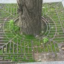 지명행정사 이미지