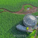 수려한우2 이미지