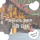 꽃피는민박 | [대전 근교 나들이] 4월의 노란 물결! 공주 계룡산 '갑사' 황매화 산책 &amp; 체험 후기 🌼