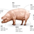돼지뽈집 이미지