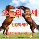 오늘의 운세, 3월 7일[음력 1월 19일] 일진: 경진(庚辰) 토요일 이미지
