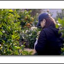 정환농장 이미지