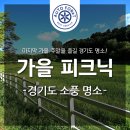 청명산업주식회사 | [포레 여행] 가을 피크닉 명소 in 경기도! : 렛츠런팜 원당, 벽초지수목원, 다산생태공원