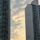 또래오래 고모점 | 파이브가이즈로 마무리한 6월 일상