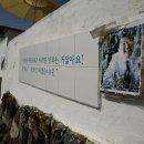 호미배수장 이미지