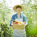 시종농업협동조합