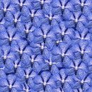 하능깃털 이미지