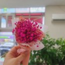 진해천자원 이미지