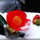 청산유수 이미지