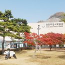 목포자연사박물관 이미지