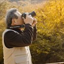 푸른노을 이미지