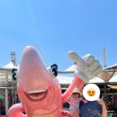 광천손칼국수 이미지