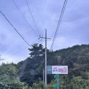 왕피천 숲속 캠핑장 | 여름계곡캠핑🏕️ 왕피천숲속캠핑장 애견동반가능 내돈내산 솔직후기!