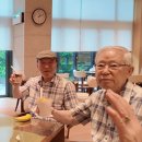 Cool 과일빙수 이미지