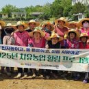 서부1리 이미지