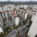 분당-171 이미지