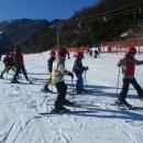 대마초등학교 이미지