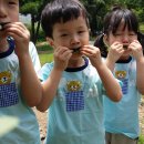 금호숲속어린이집 이미지