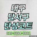 유천포스코더샵 | 대구 달서구 탄성코트 유천포스코더샵 17년경력 전문가