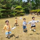 숲속화인어린이집 | 김해 안동 어린이집 국공립 숲속화인어린이집의 즐거운 일상!