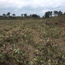 월령리사무소 이미지