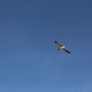 동해 바다 게스트하우스 이미지