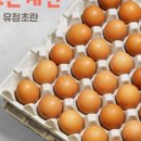 유정농장2 이미지