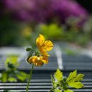 이디야커피전북모악점 이미지