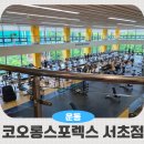 코오롱스포렉스 지하1층(2) | 역대급 규모와 시설 강남 헬스장 코오롱스포렉스 서초점 추천 후기