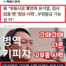 장성직구 이미지