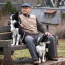 스타반려견 교육센터 이미지