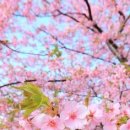 경기대로652번길 이미지