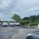 낙동강장어 이미지