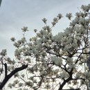 영남불교대학 앞 | [공지] 2026불교박람회 찐후기, 웨이팅 부스 해탈컴퍼니 굿즈, 반야심경공파티 우원재무대