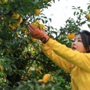 김건희농장 이미지