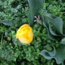 쌍둥이네민박 이미지