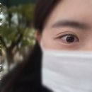 상남동124 | 창원 상남동 속눈썹 연장 “르블링” 포인트 연장 후기