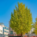 세븐일레븐 종로창성점 이미지