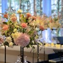 노보텔앰배서더강남 이미지