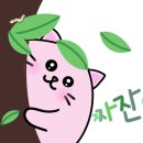 첼로사진예술원 - 성남시 분당구 돌마로 80 | 첼로사진예술원