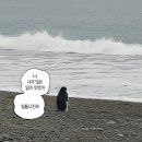 (주)펫앤조이 네이버블로그