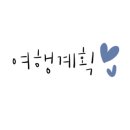 제주아이비호텔 네이버블로그