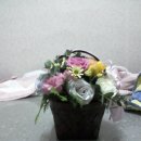 서울옵토디바이스(주)