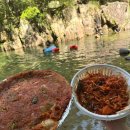8월펜션 | 떡바위산장 - 충북 괴산 쌍곡계곡 바로 앞 펜션, 8월 말 계곡 날씨 후기