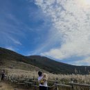 평원애견 이미지