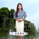 “민주당, 뉴진스 하니와 달리 오요안나 사건에는 MBC 감싸” 이미지