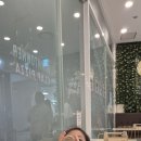 리프패럿 롯데마트 광복점 이미지