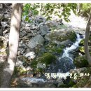 군내부동산공인중개사사무소 이미지