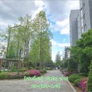 중로(보)1-3-2 이미지