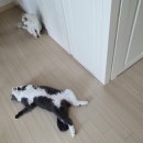 해봉헤어